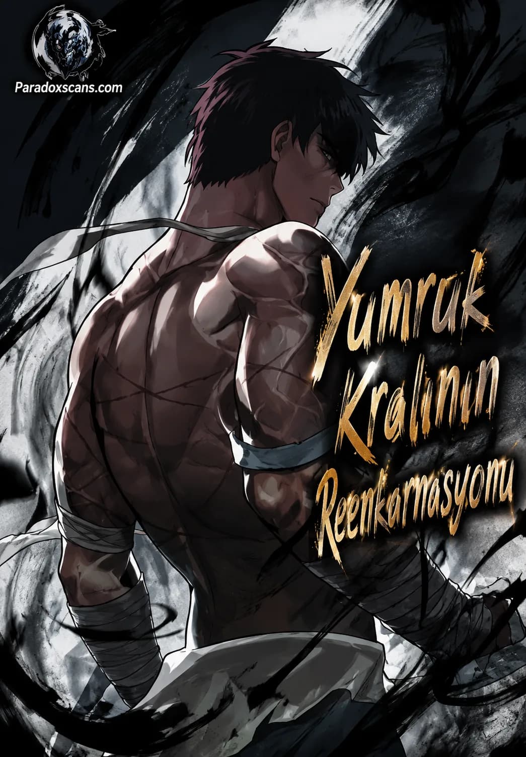 Yumruk Kralının Reenkarnasyonu manga kapağı