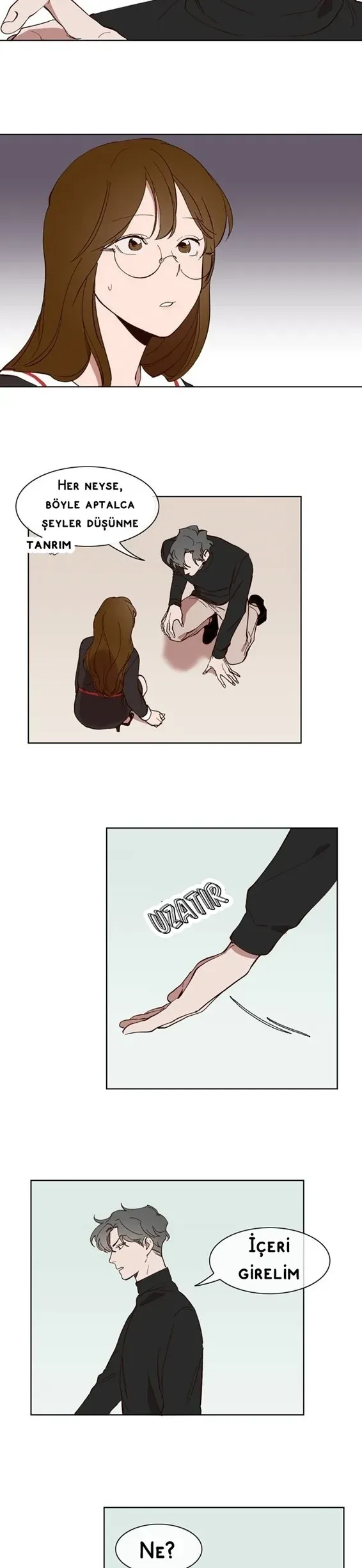 Sayfa 5