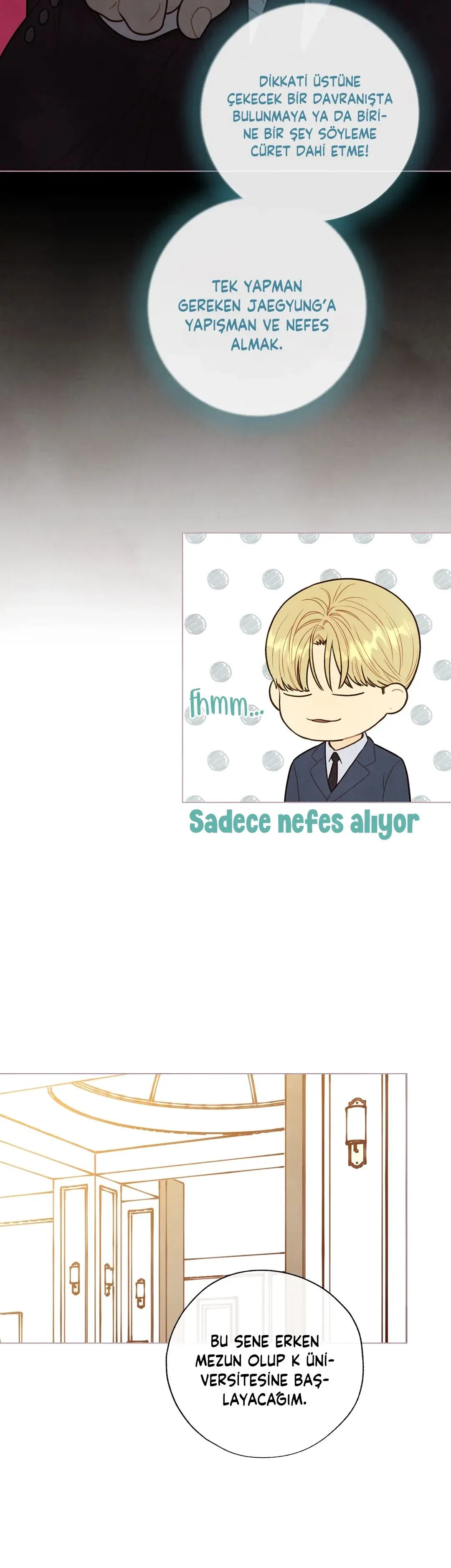Sayfa 5