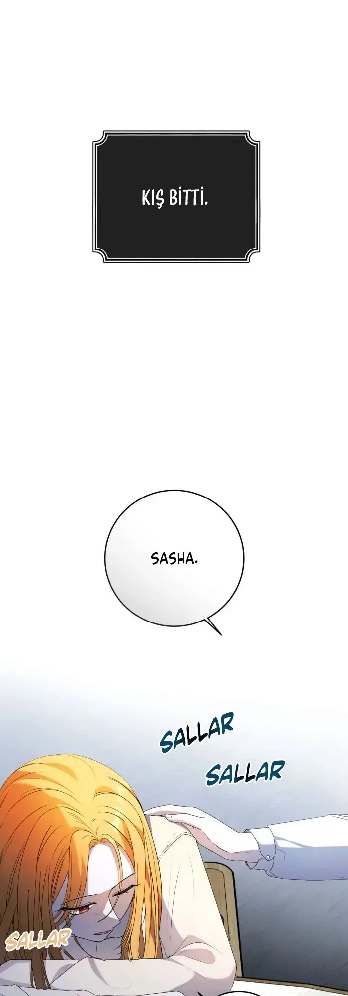 Sayfa 1