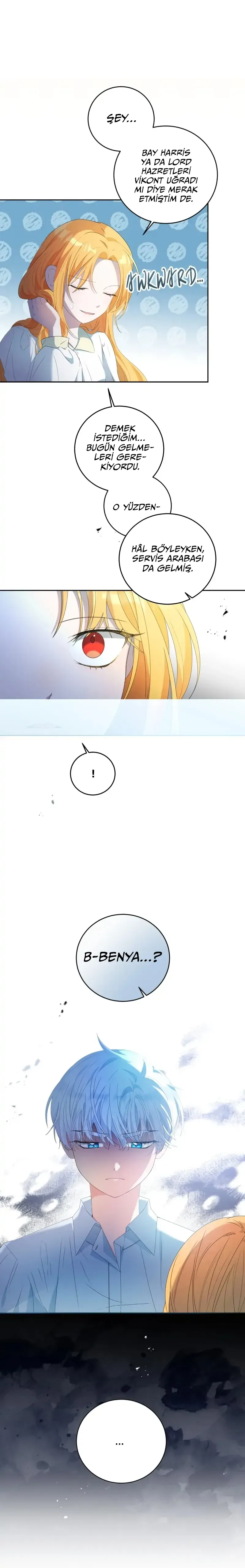 Sayfa 1