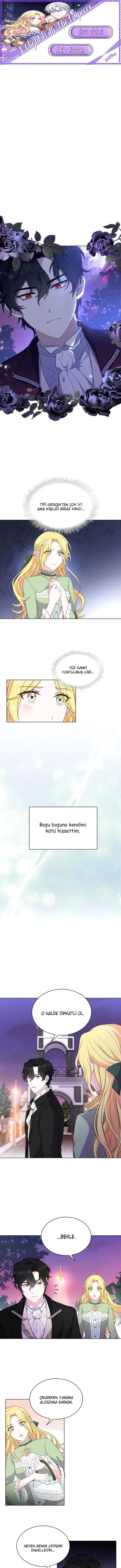 Sayfa 1