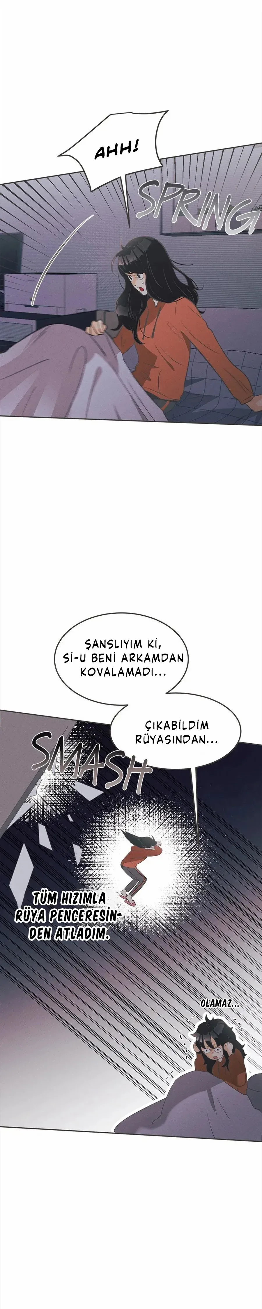 Sayfa 1