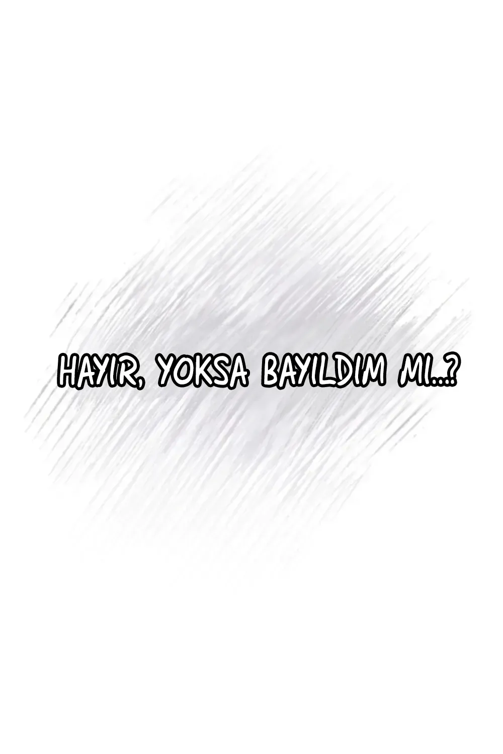 Sayfa 4