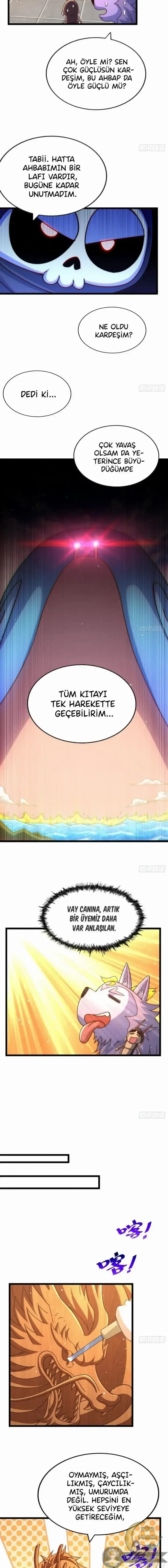 Sayfa 5