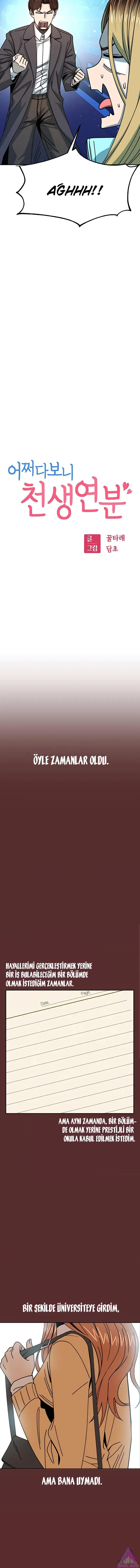 Sayfa 5