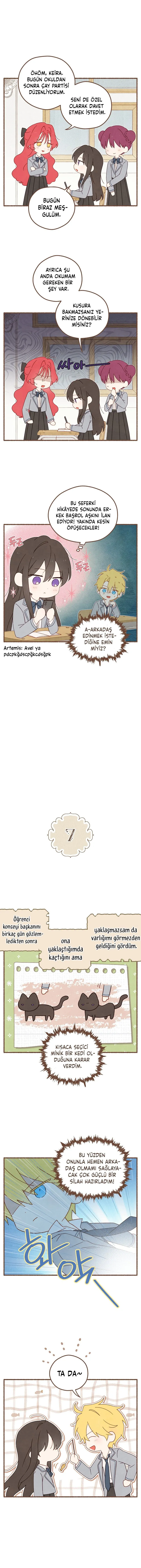 Sayfa 3