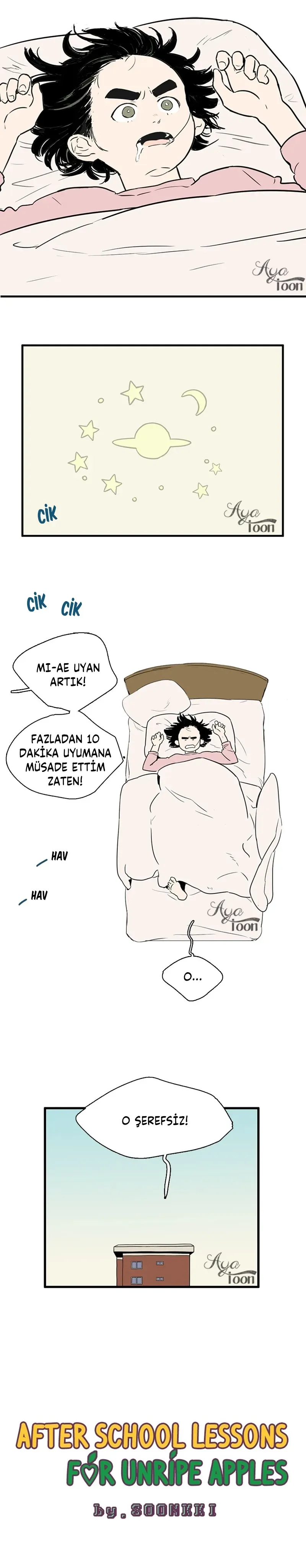 Sayfa 3