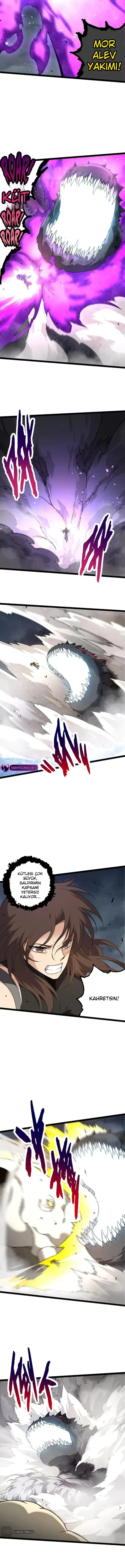 Sayfa 5