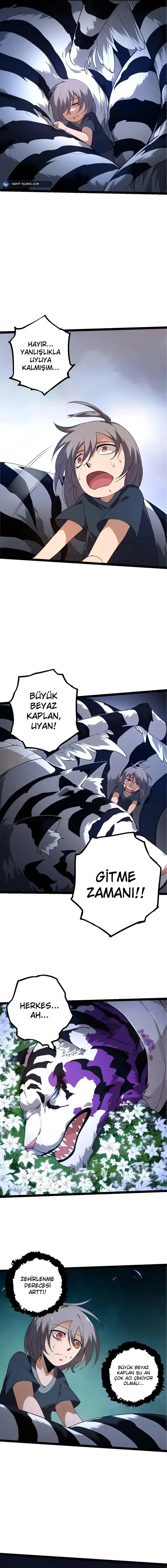 Sayfa 5