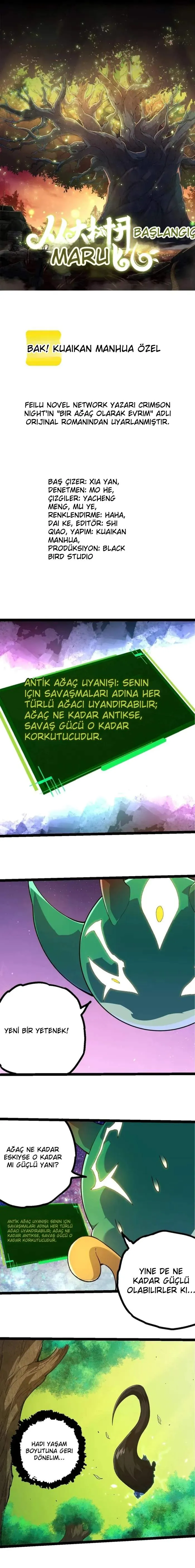 Sayfa 2