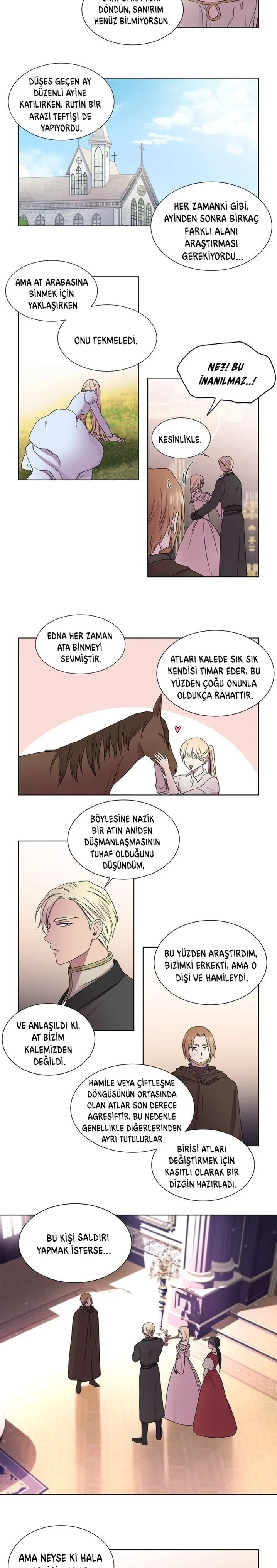 Sayfa 5