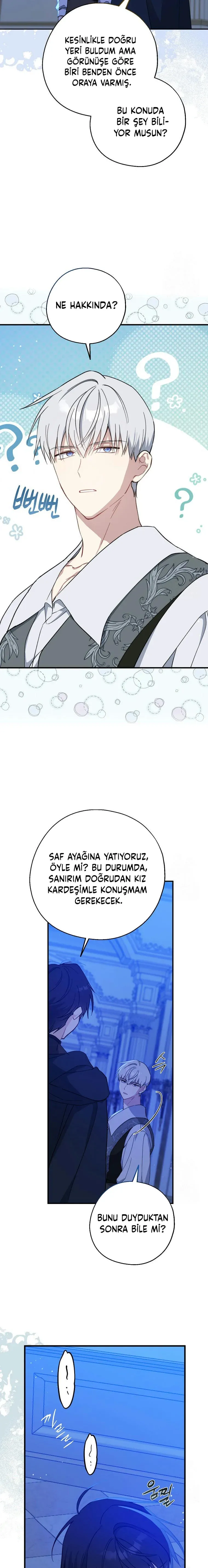Sayfa 6