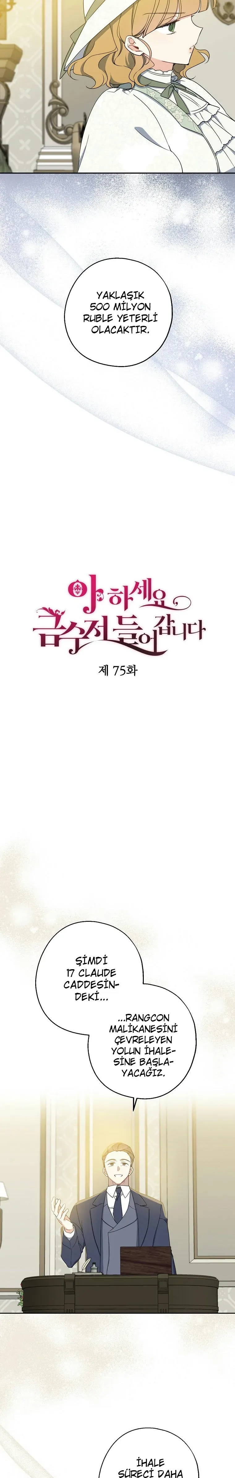 Sayfa 5