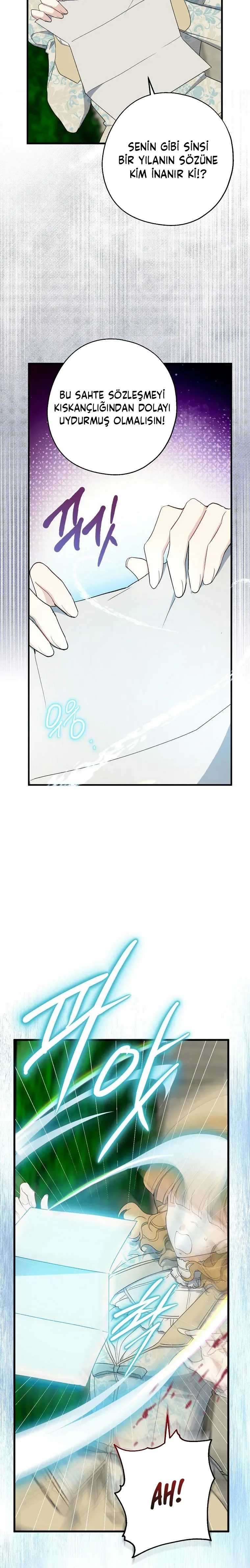 Sayfa 6