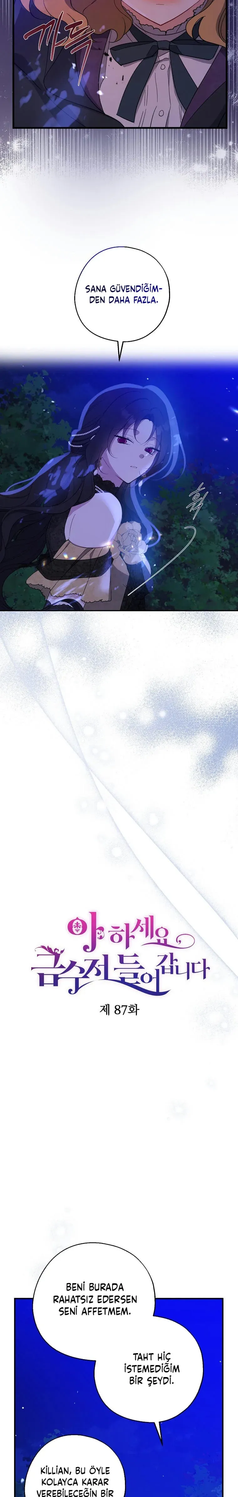 Sayfa 5