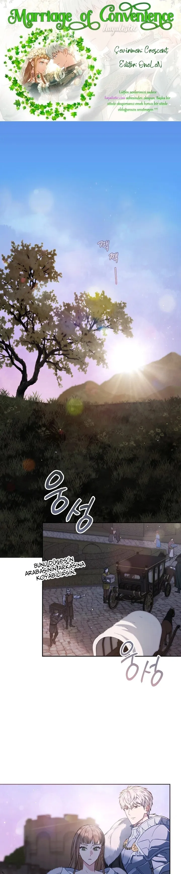 Sayfa 1