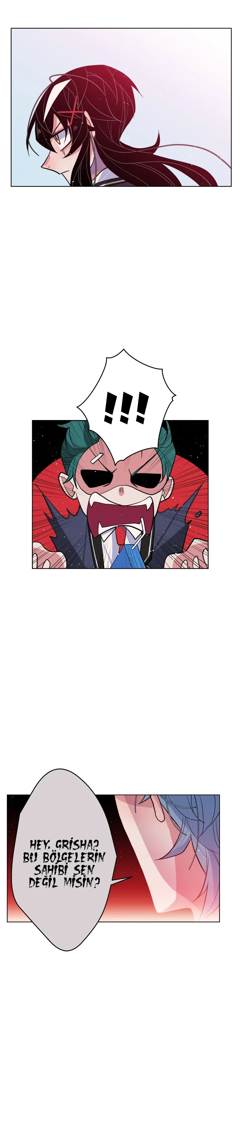 Sayfa 5