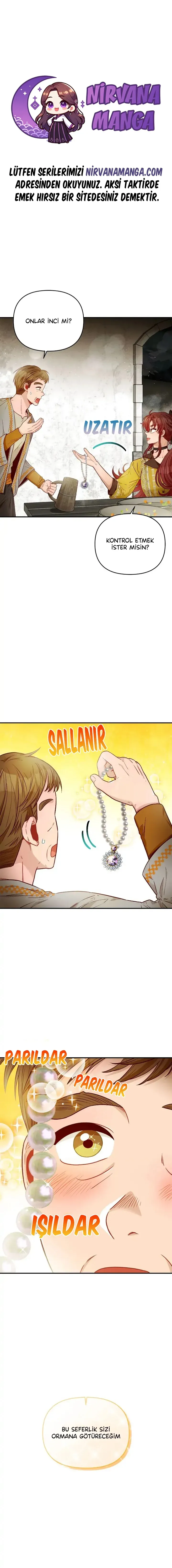 Sayfa 1