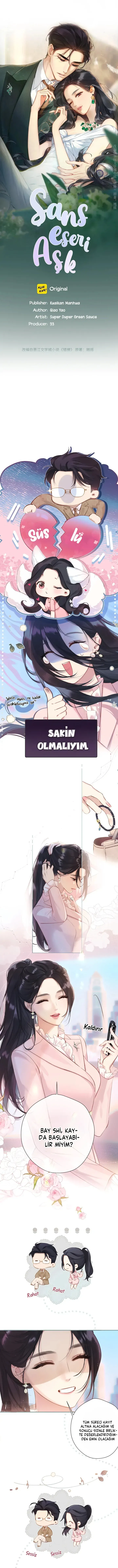 Sayfa 1
