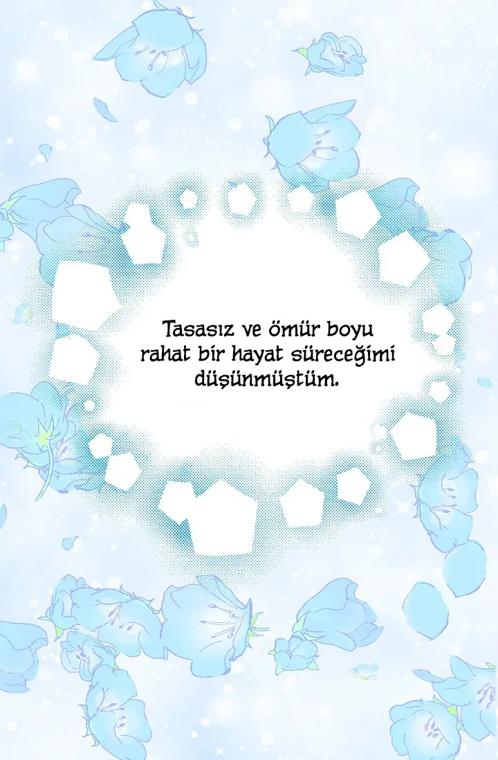Sayfa 2
