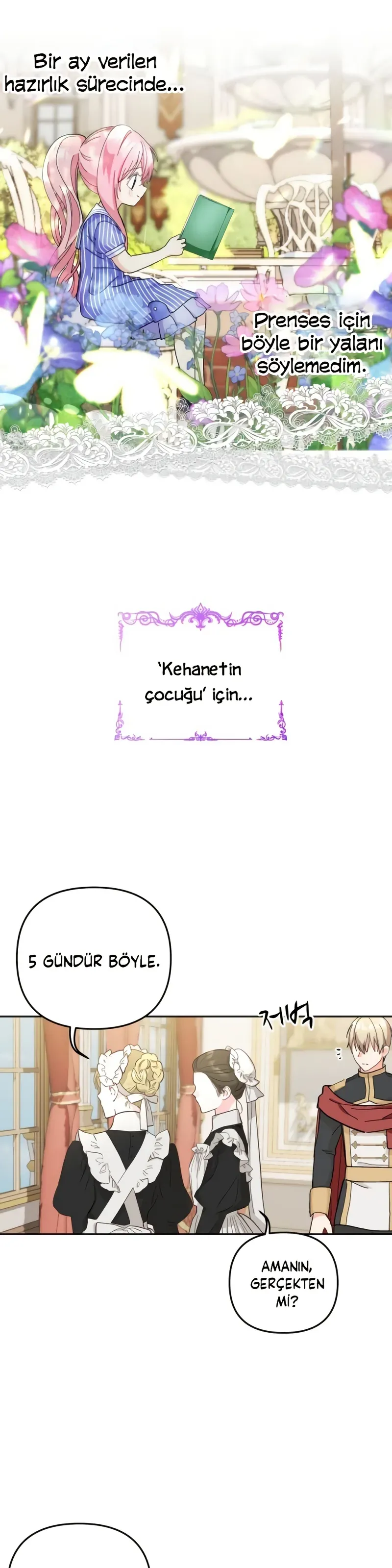 Sayfa 5