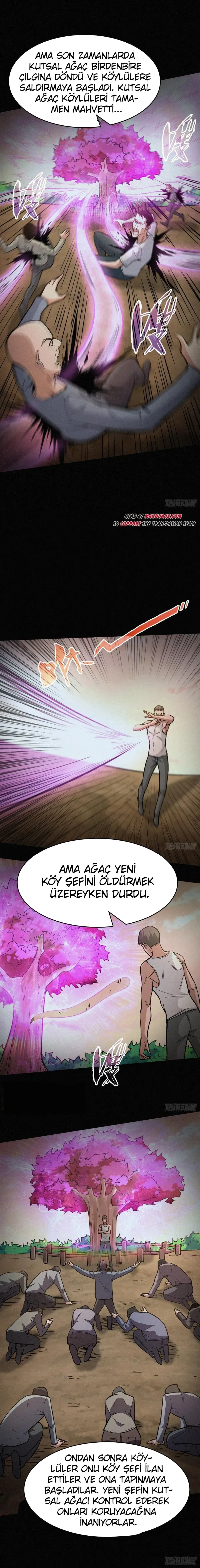Sayfa 1