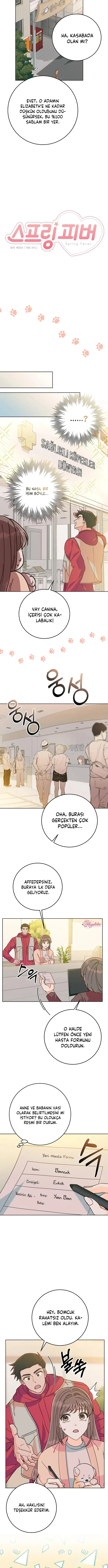 Sayfa 5