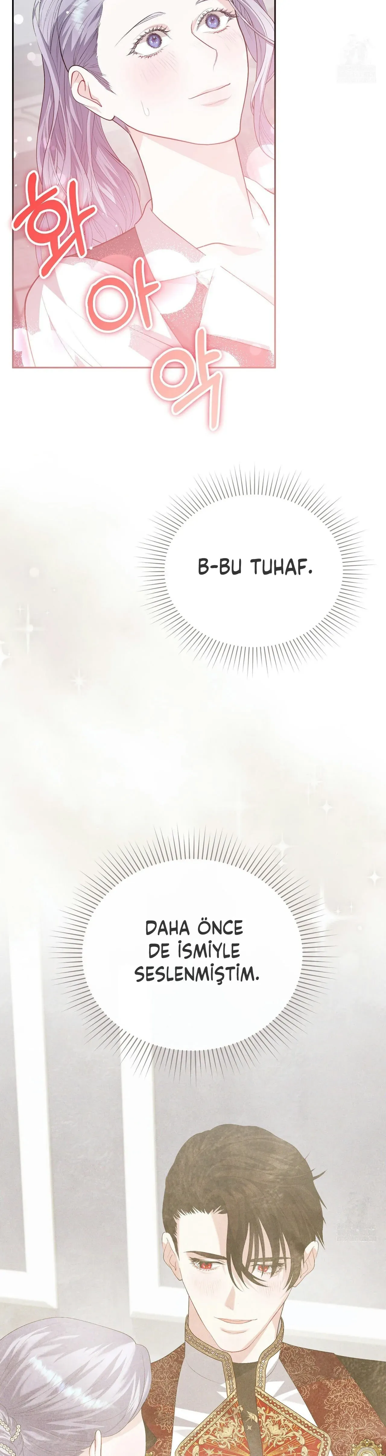 Sayfa 2
