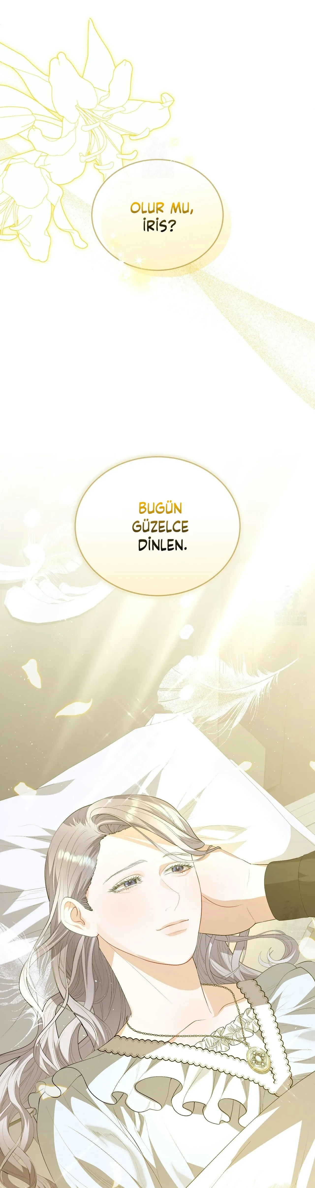 Sayfa 1