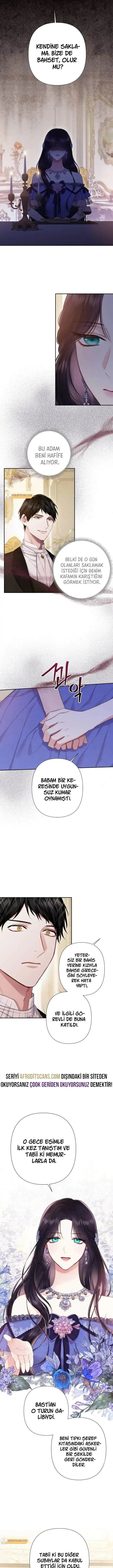 Sayfa 6
