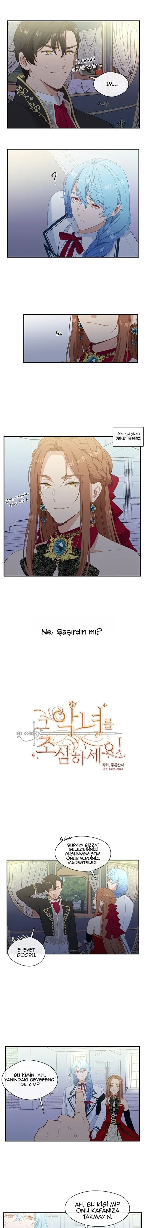 Sayfa 2