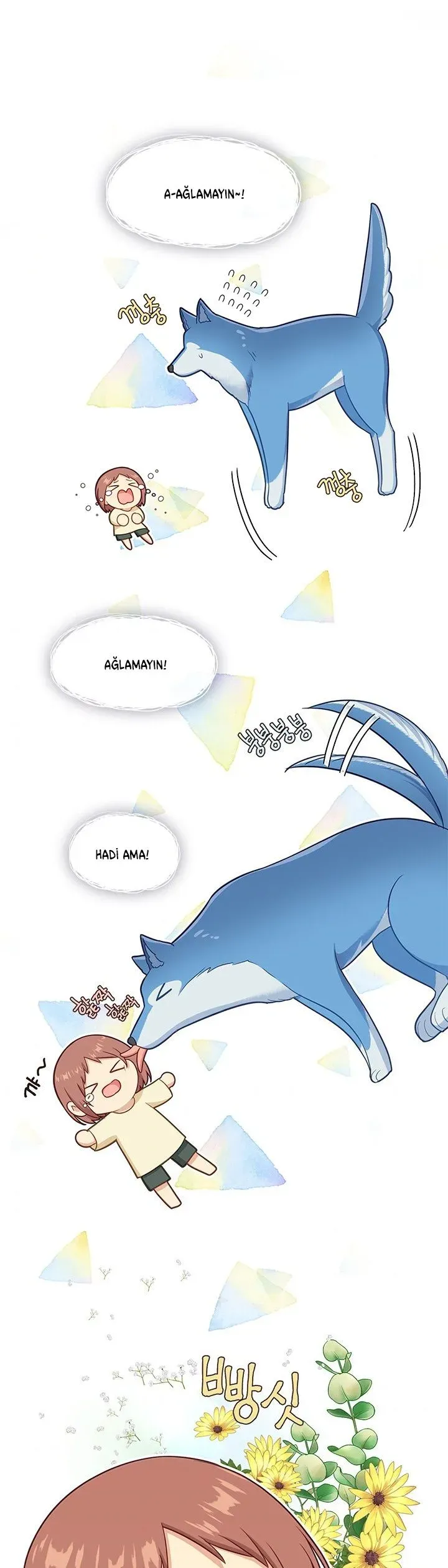 Sayfa 2