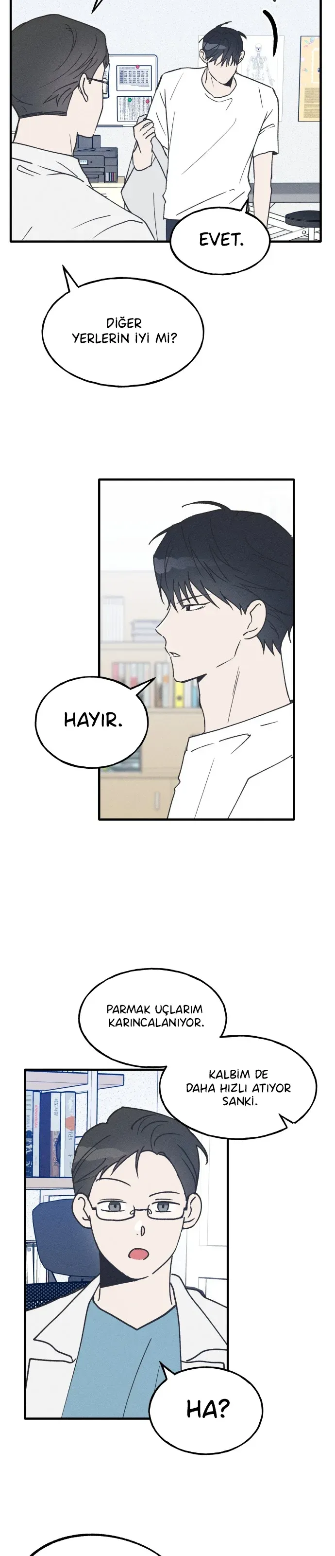 Sayfa 6