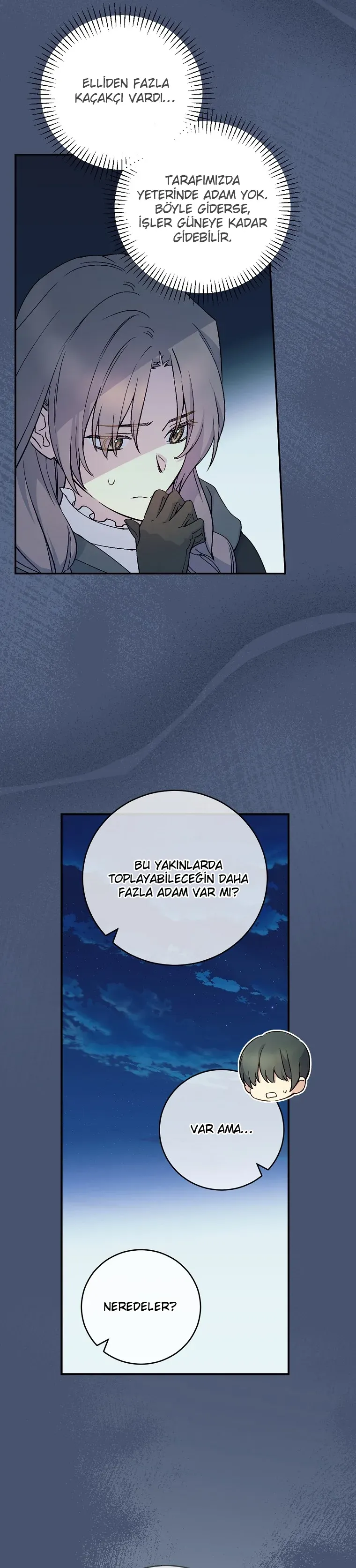 Sayfa 5