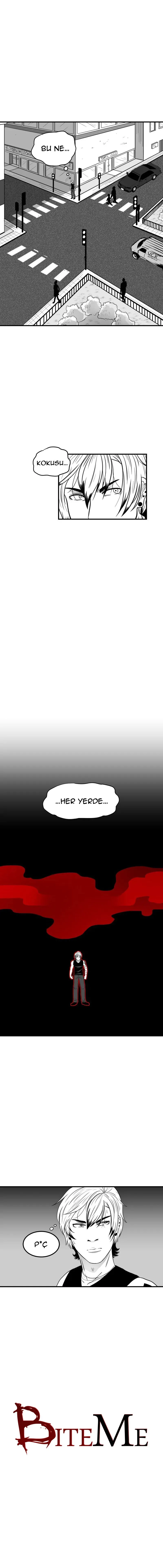 Sayfa 4
