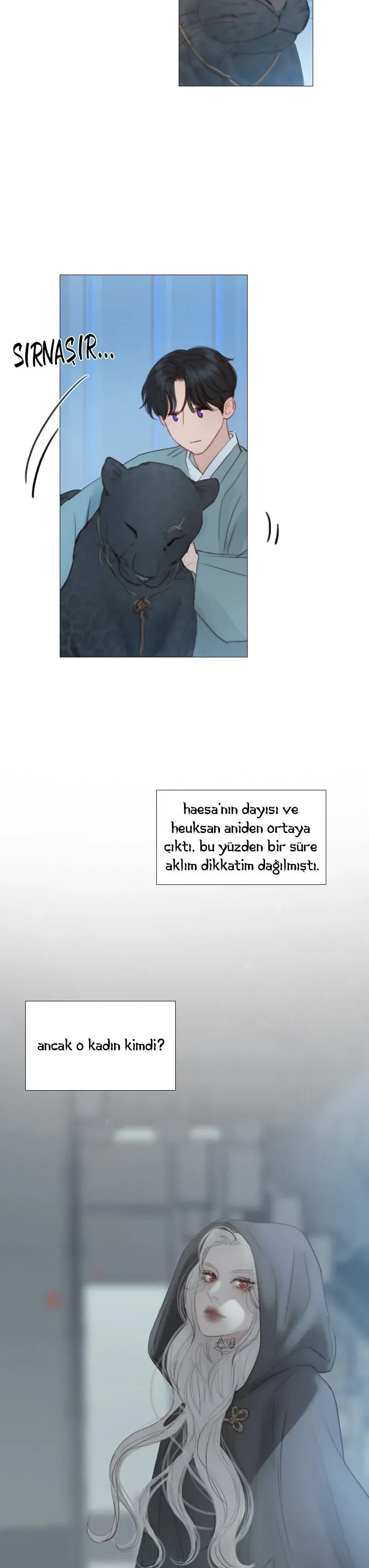 Sayfa 5