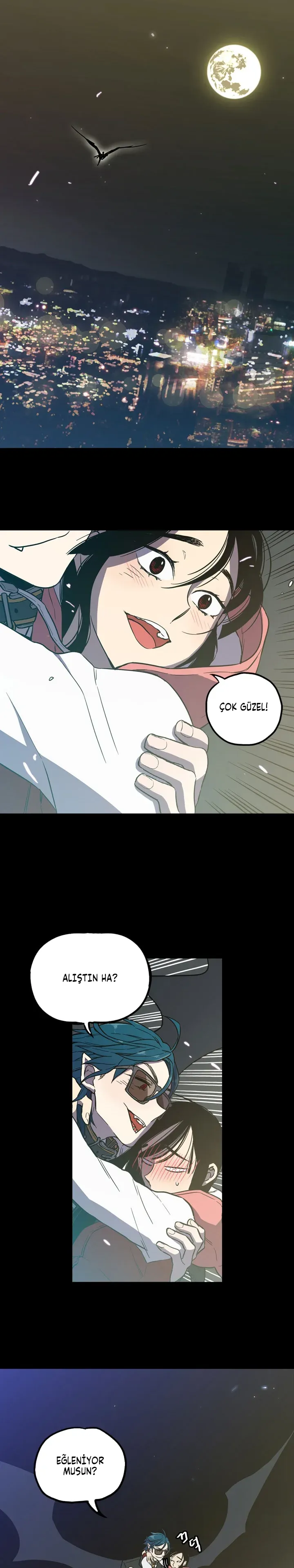 Sayfa 4
