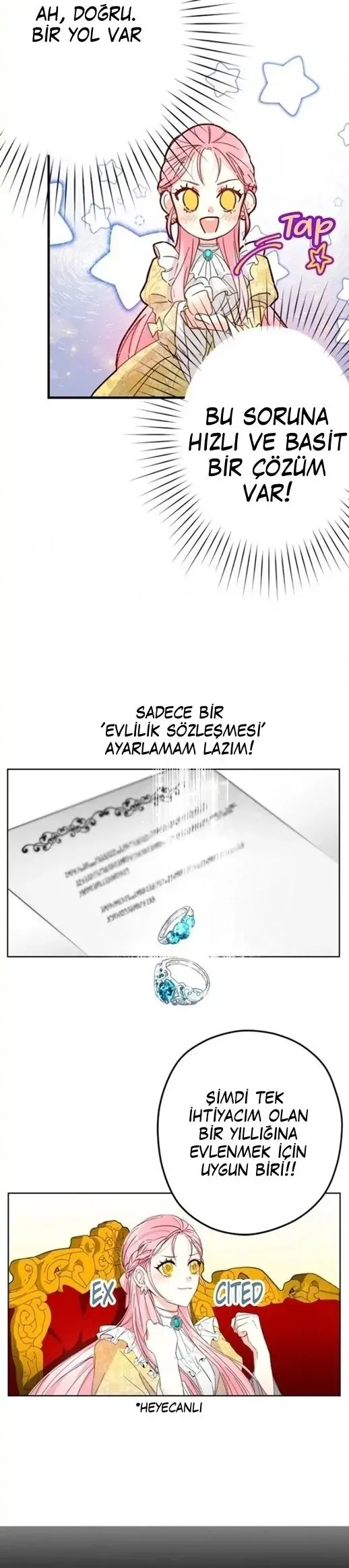 Sayfa 6