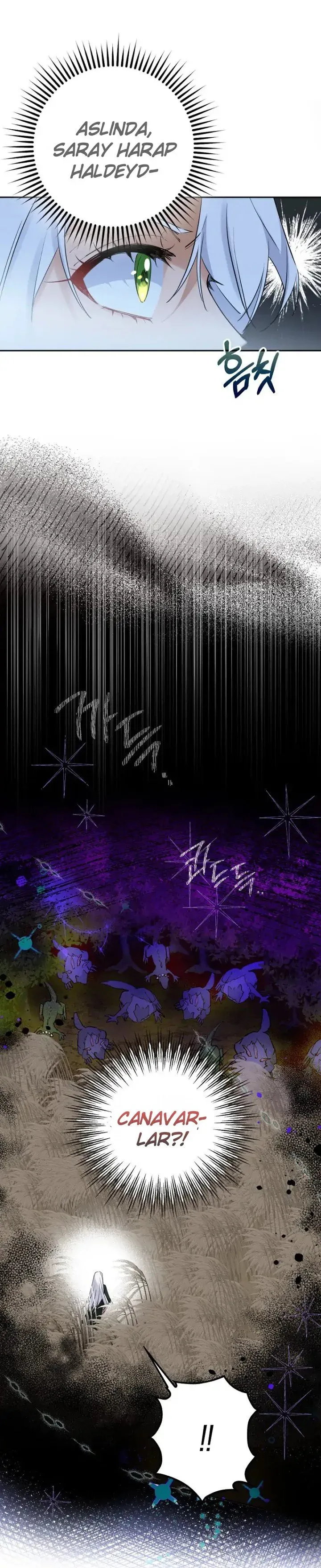 Sayfa 3