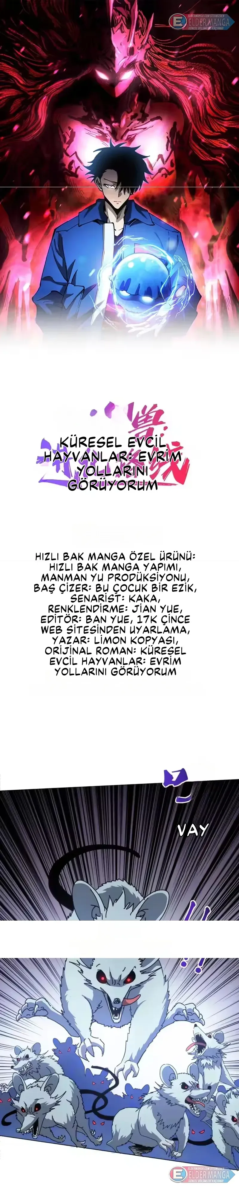 Sayfa 1