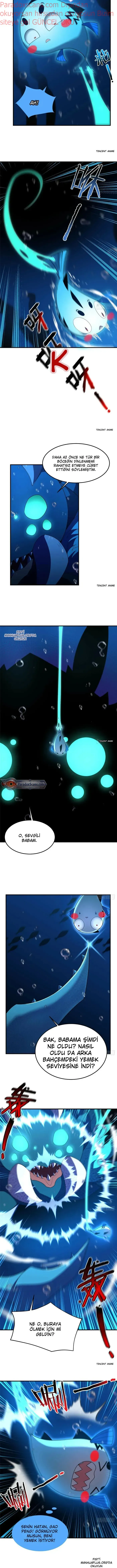Sayfa 5