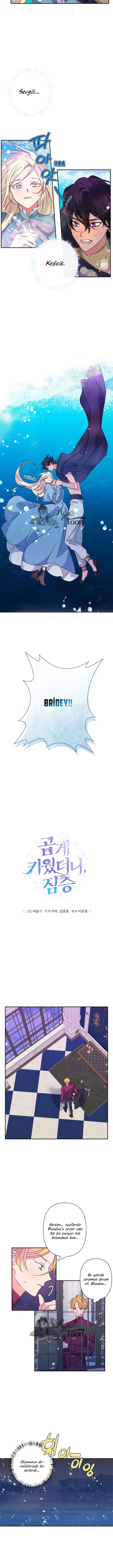Sayfa 3