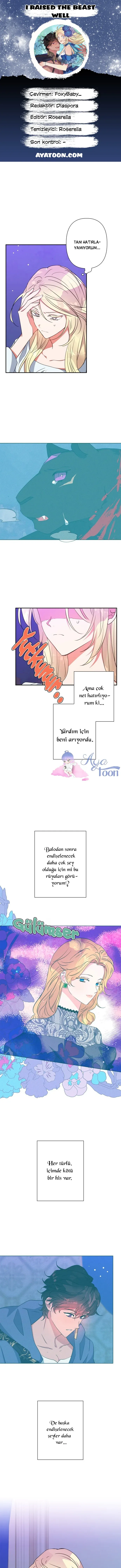 Sayfa 1