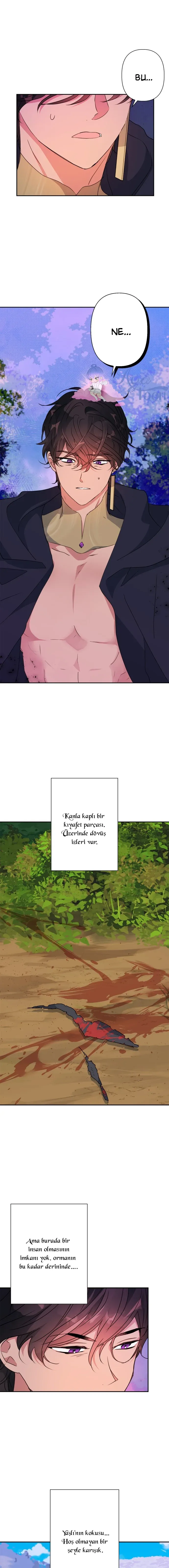 Sayfa 1