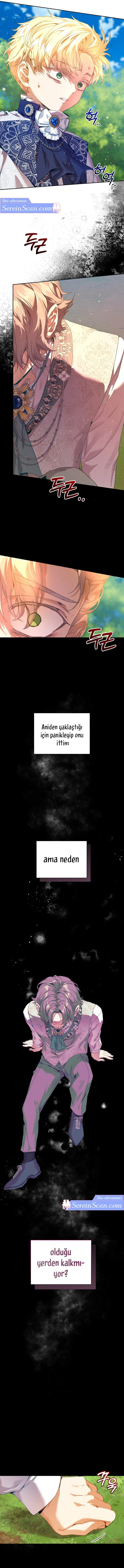 Sayfa 2