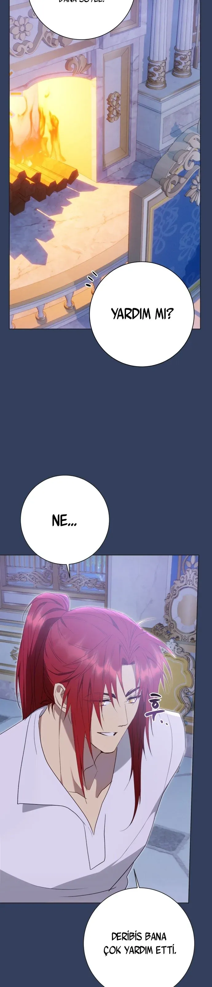Sayfa 5