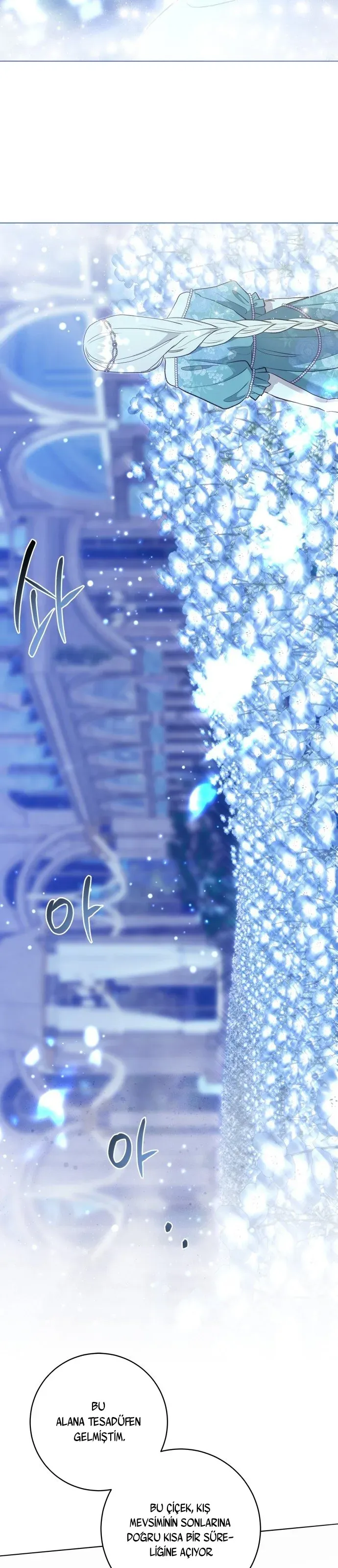 Sayfa 3