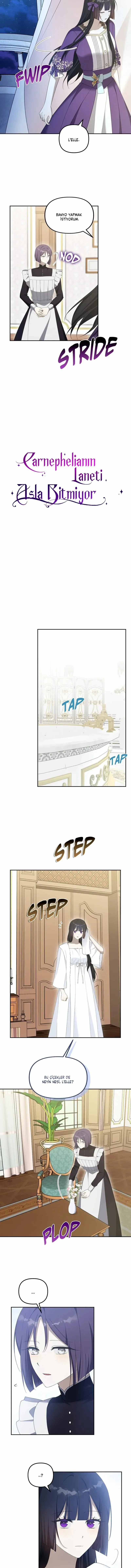 Sayfa 2