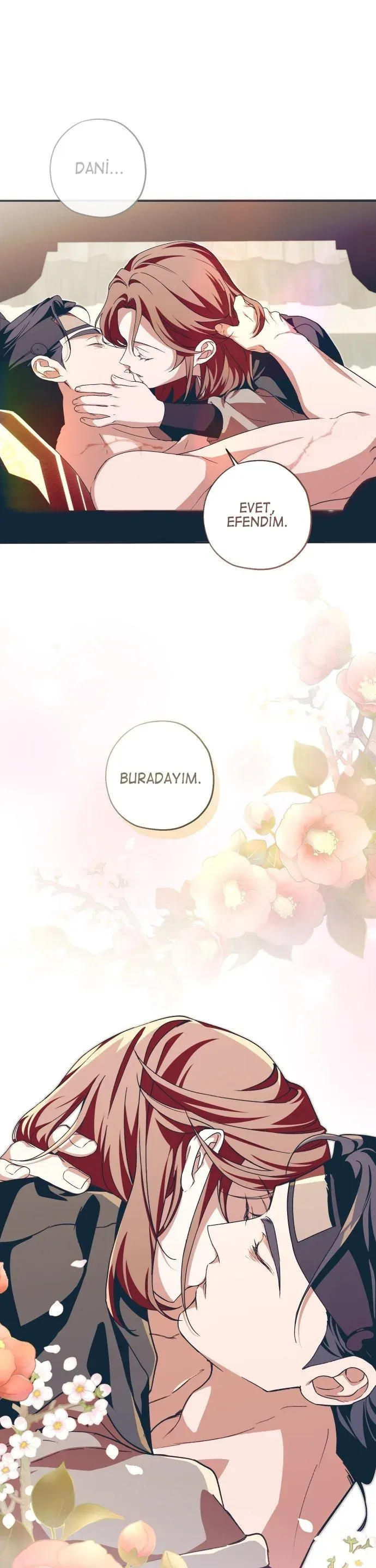 Sayfa 5